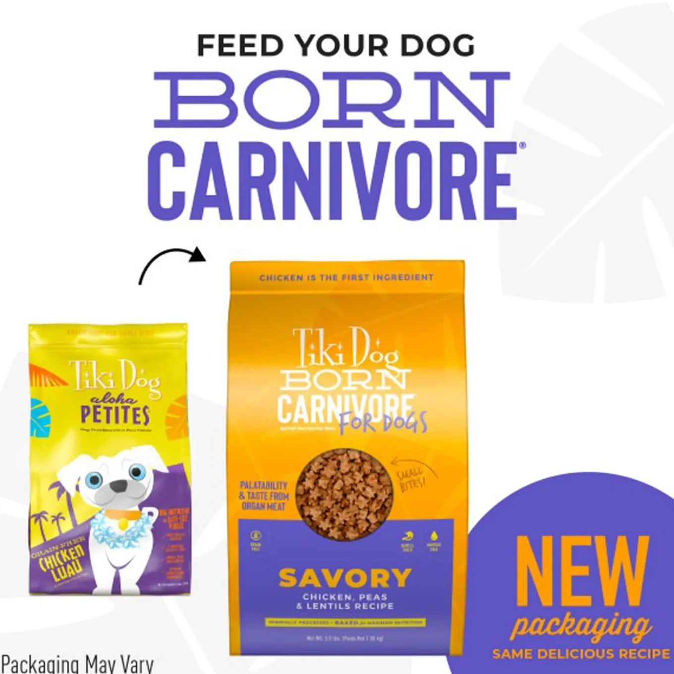 Tiki Dog Born Carnivore Savory Dry Dog Food
