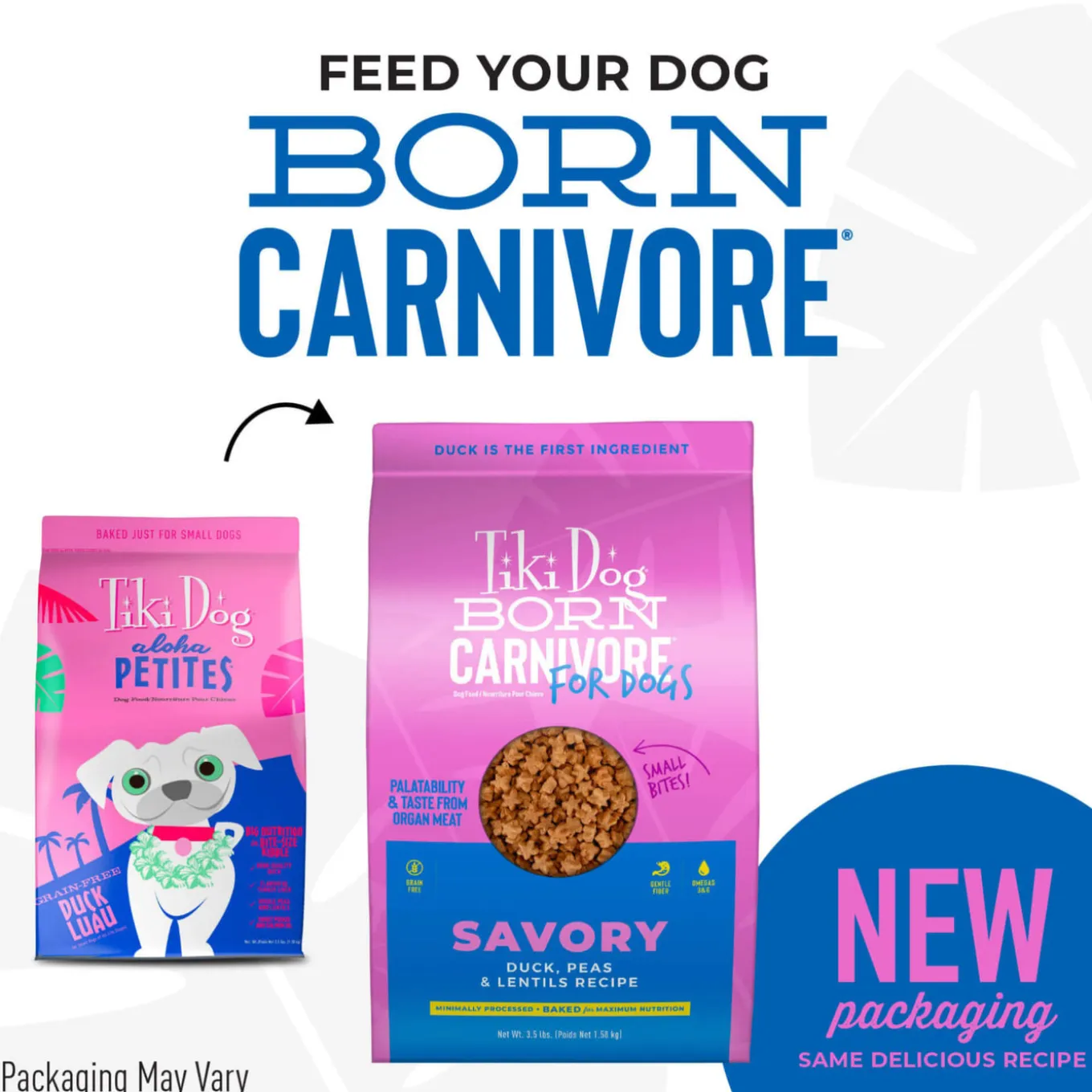 Tiki Dog Born Carnivore Savory Dry Dog Food