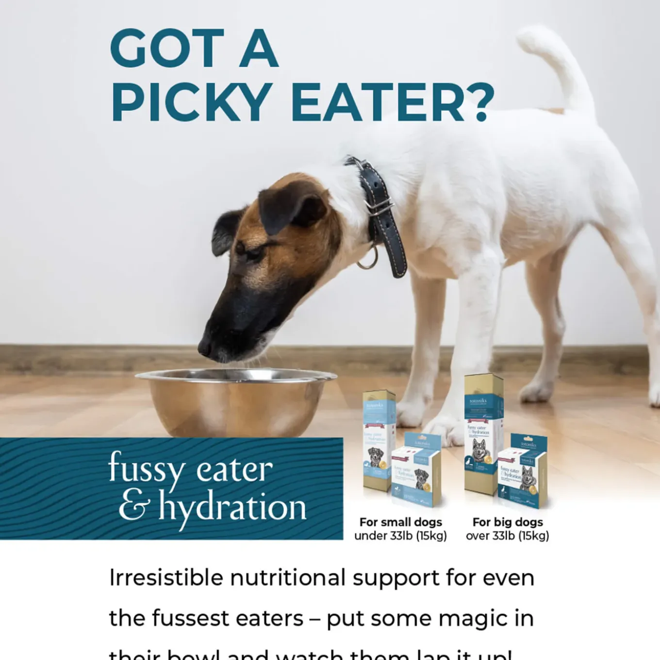 Totoniks Fussy Eater & Hydration Venison Blood Dehydrated Topper for Dogs