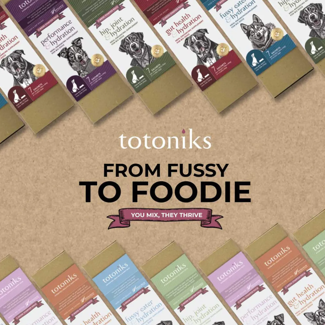 Totoniks Gut Health & Hydration Venison Blood Dehydrated Topper for Dogs
