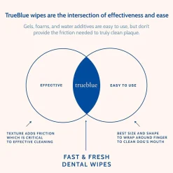 TrueBlue Fast & Fresh Dental Swipes