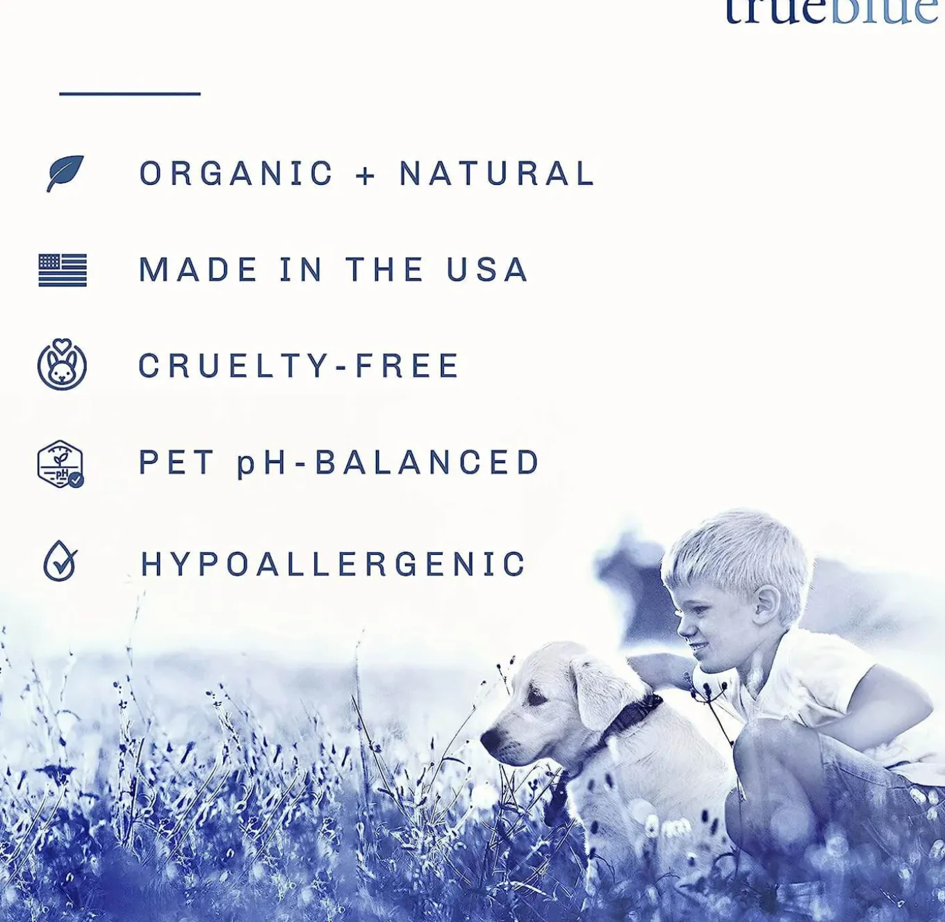 TrueBlue Fast & Fresh Dental Swipes