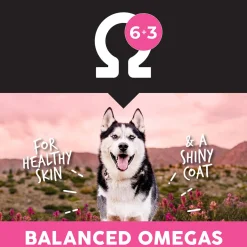 Ultimates Grain Free Adult Dry Dog Food