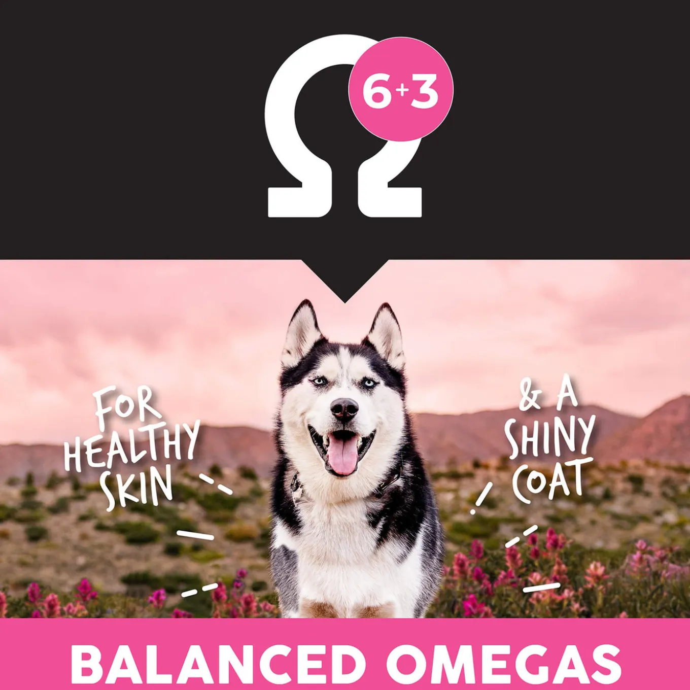 Ultimates Grain Free Adult Dry Dog Food