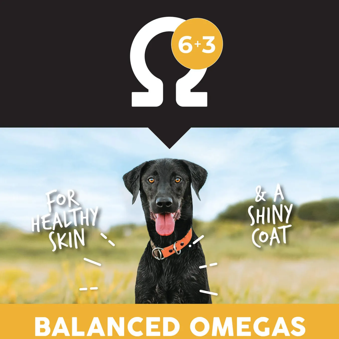 Ultimates Grain Free Adult Dry Dog Food
