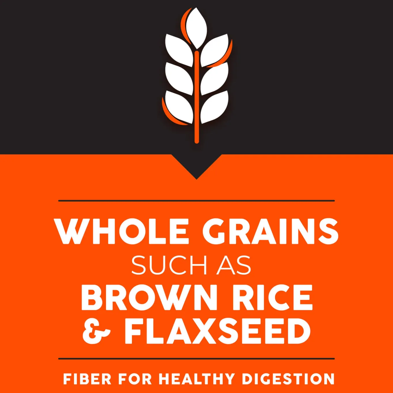 Ultimates Large Breed Chicken & Rice Dry Dog Food