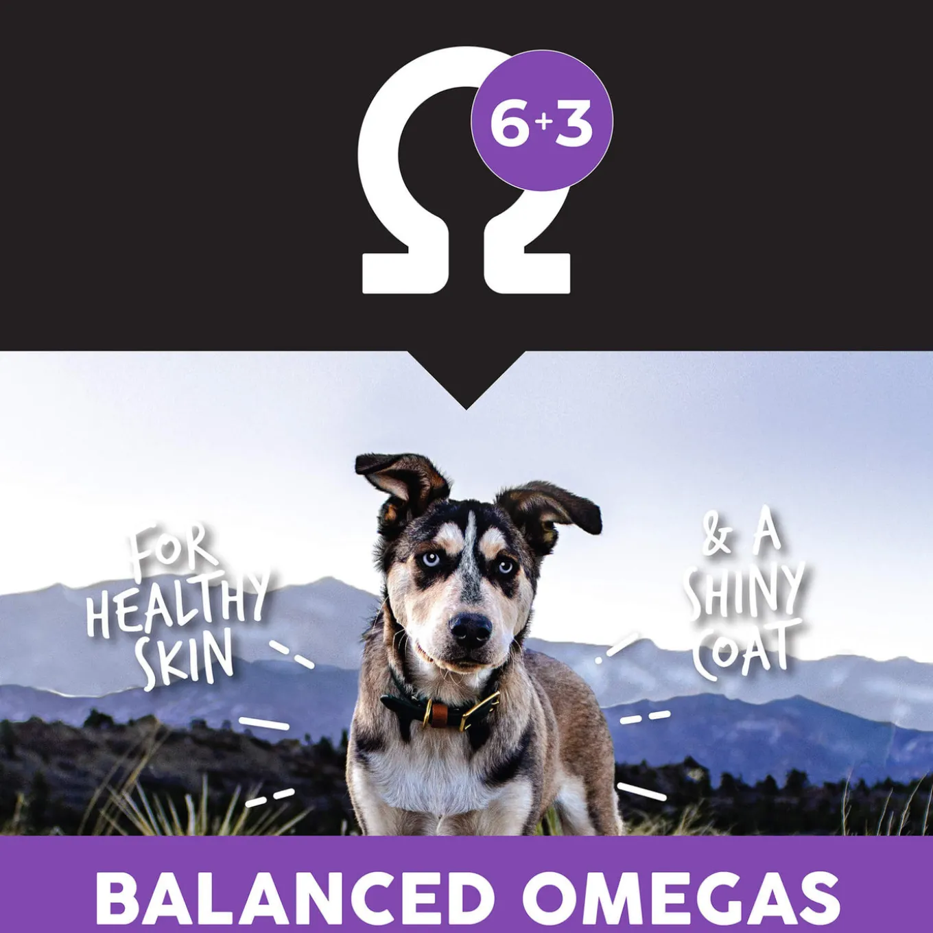 Ultimates Puppy Chicken & Rice Dry Dog Food