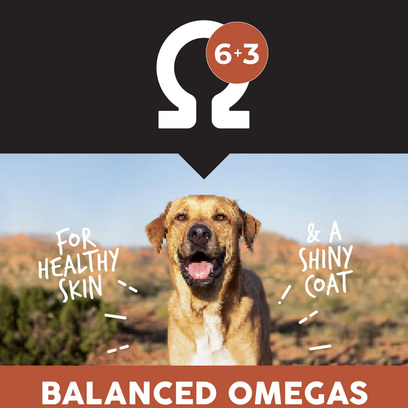 Ultimates Whole Grain Adult Dry Dog Food