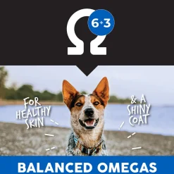 Ultimates Whole Grain Adult Dry Dog Food