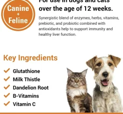VetClassics Liver Support Cat and Dog Supplement