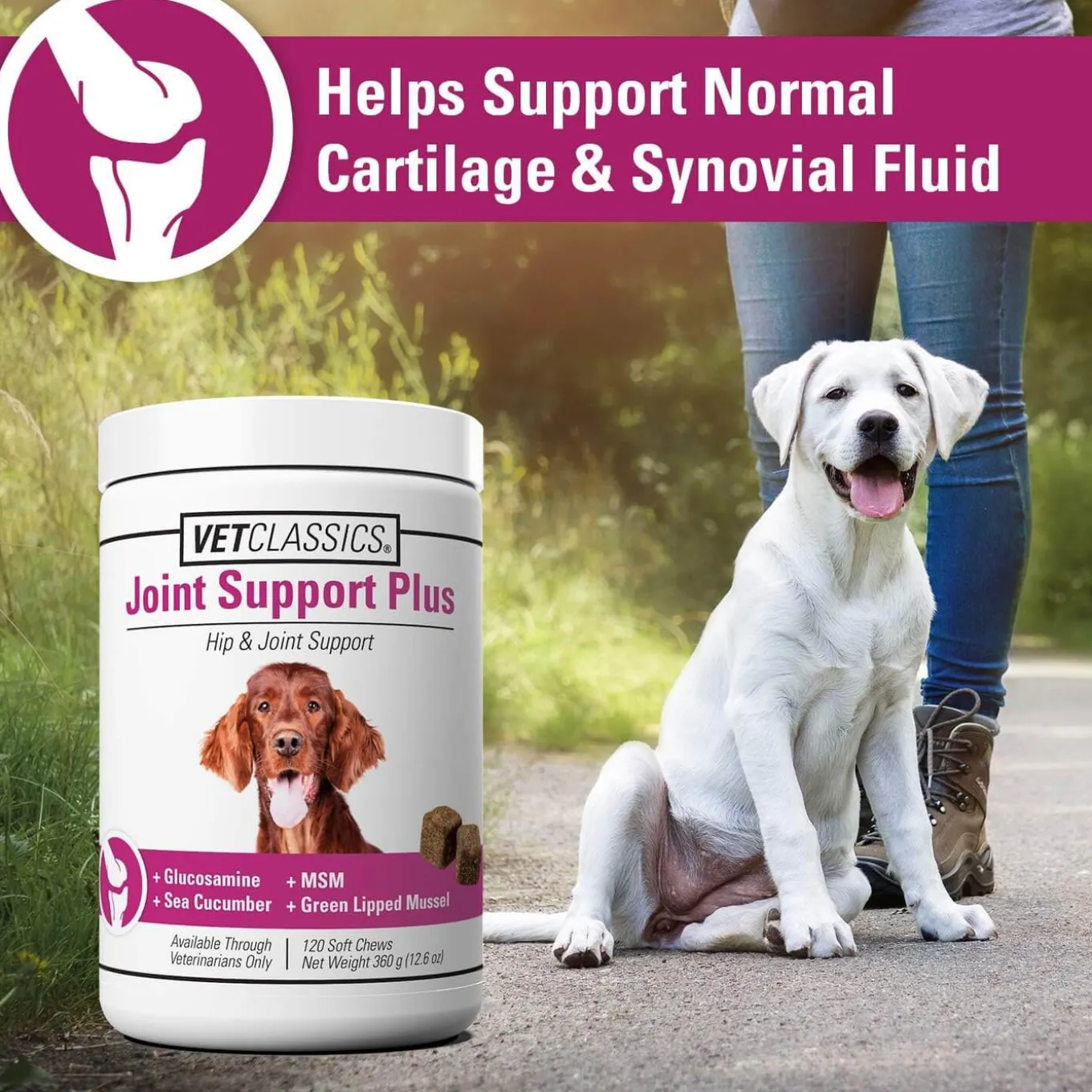 VetClassics Joint Support Plus
