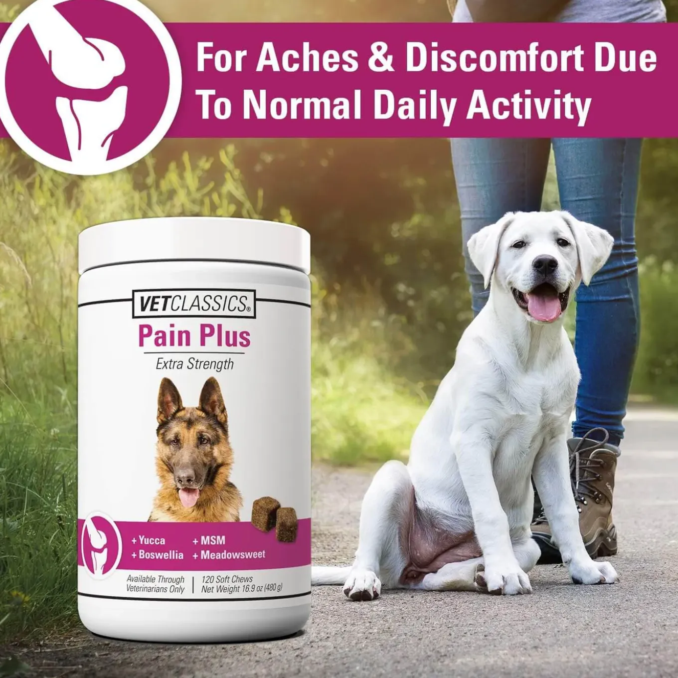 Vet Classics Pain Plus Supplement for Dogs