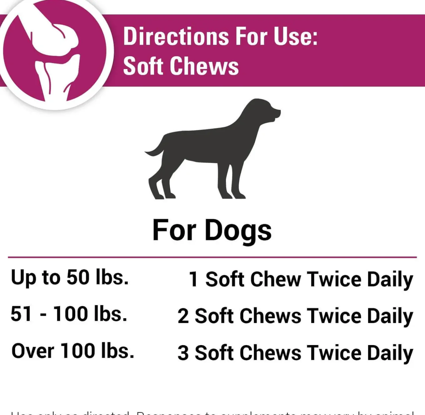 Vet Classics Pain Plus Supplement for Dogs