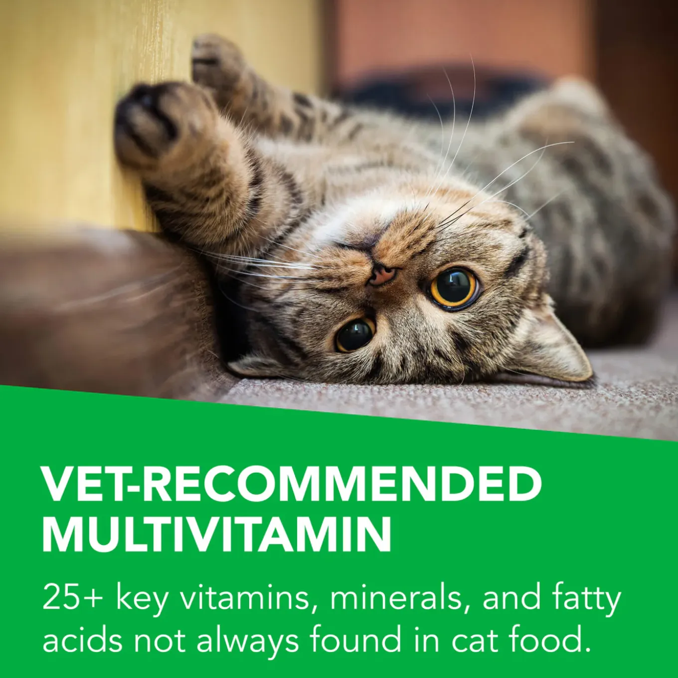 VetriScience 27+ Active Health Multivitamin for Cats