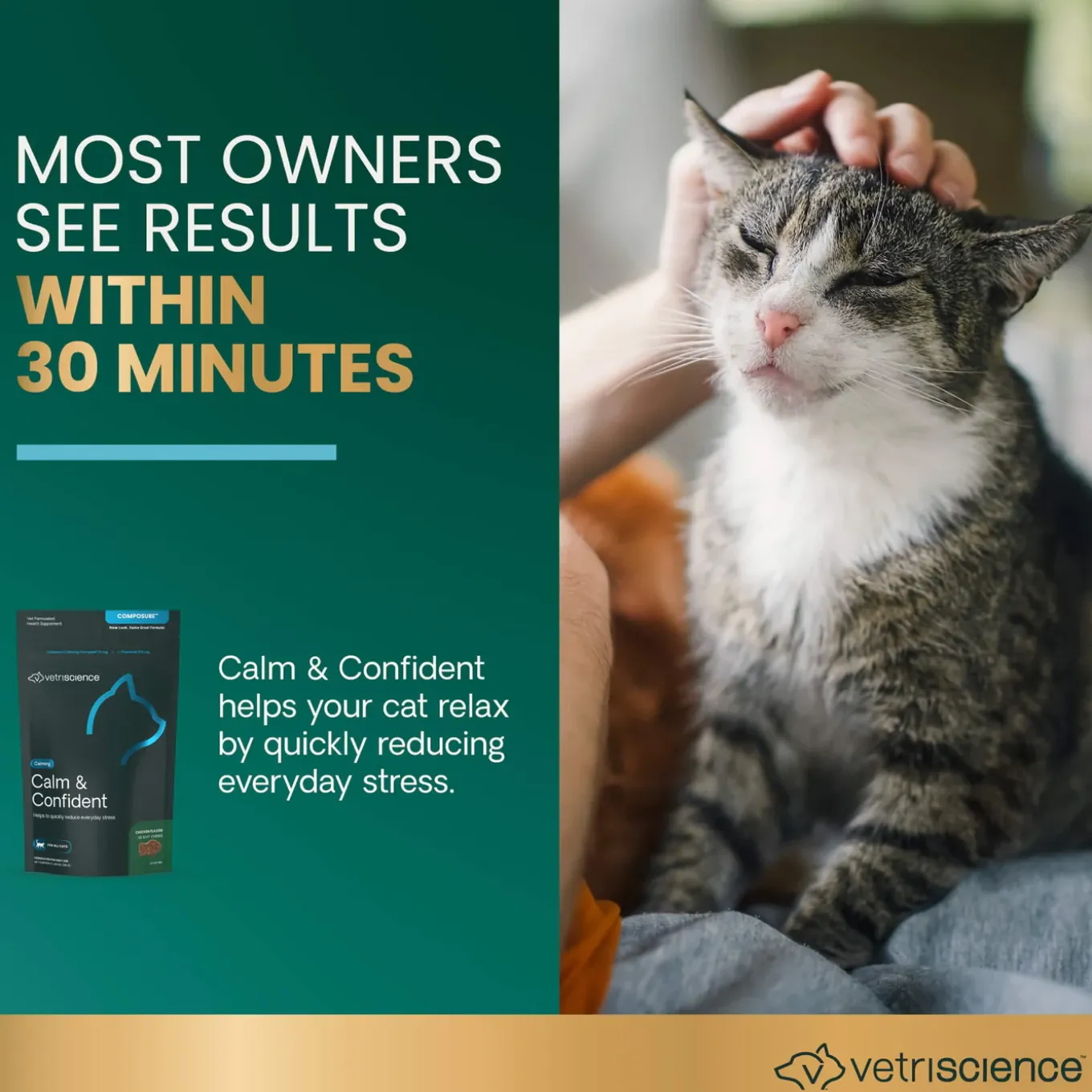VetriScience Calm & Confident Cat Supplement Soft Chews