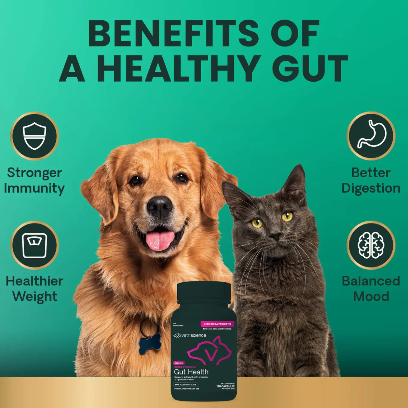 VetriScience Extra Strength Gut Health Dog & Cat Supplement