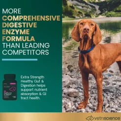 VetriScience Extra Strength Healthy Gut & Digestion Supplement for Dogs