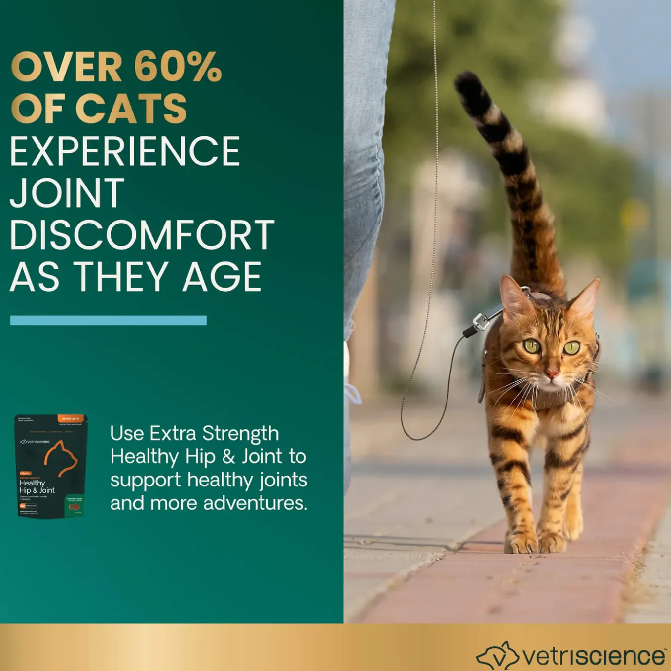 VetriScience Healthy Hip & Joint Supplements for Cats