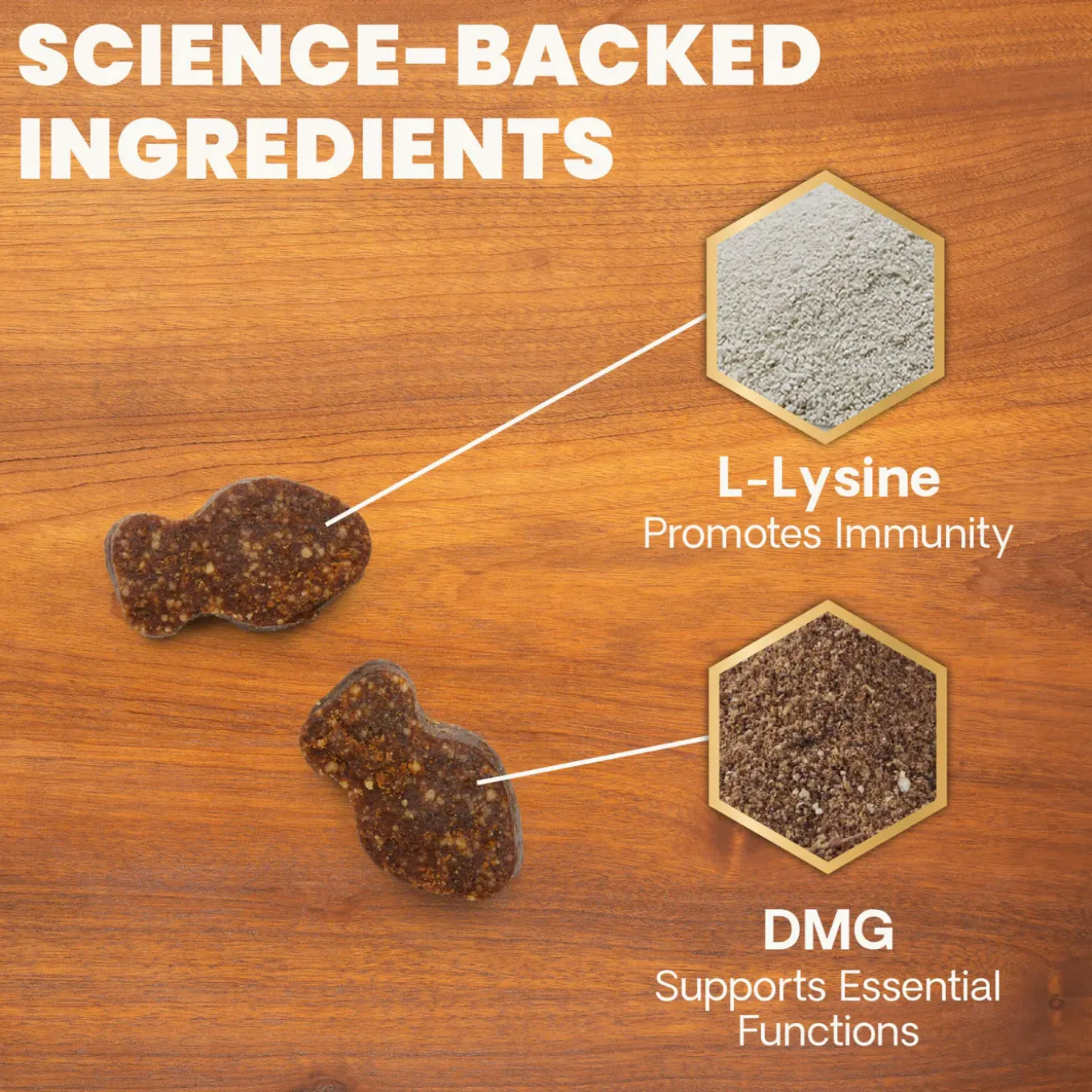 VetriScience Lysine Immunity Health Supplement for Cats
