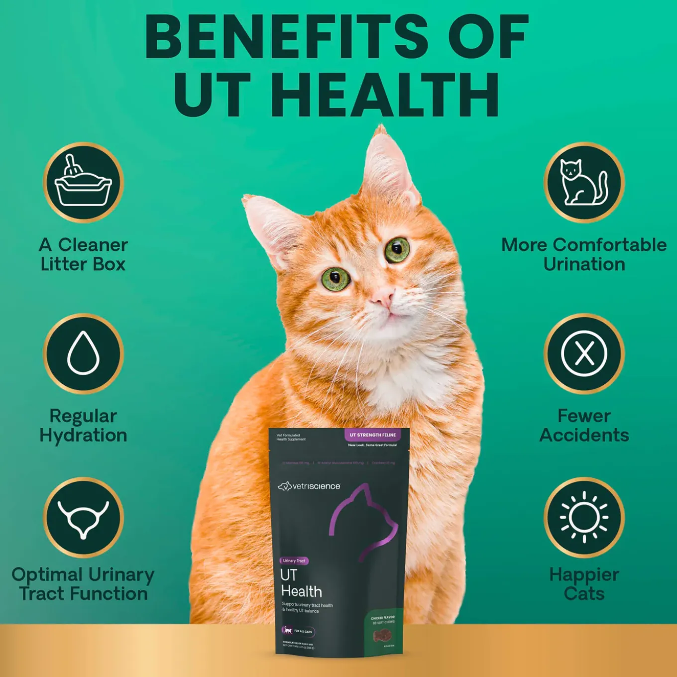 VetriScience UT Health Supplement for Cats