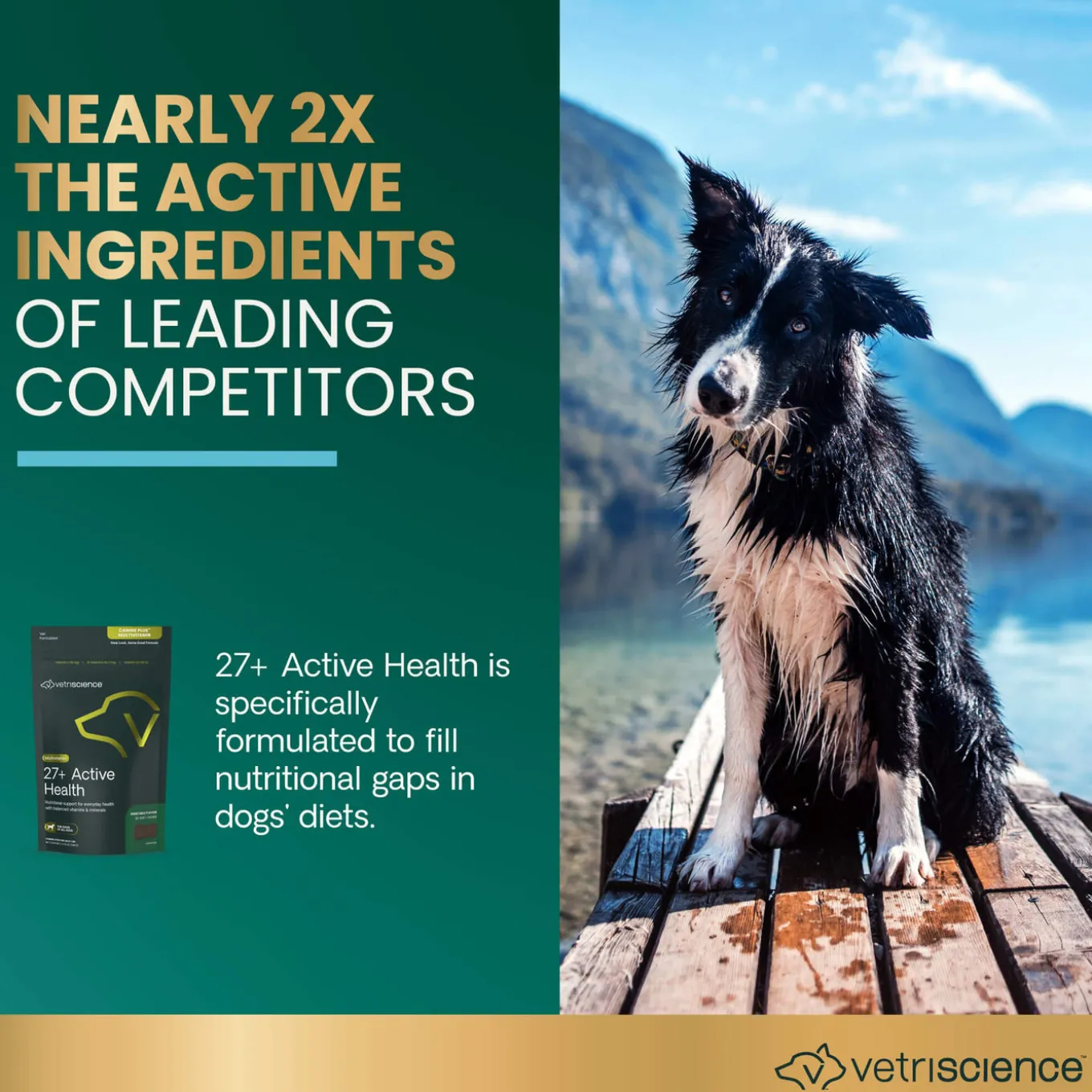 VetriScience 27+ Active Health Multivitamin for Dogs