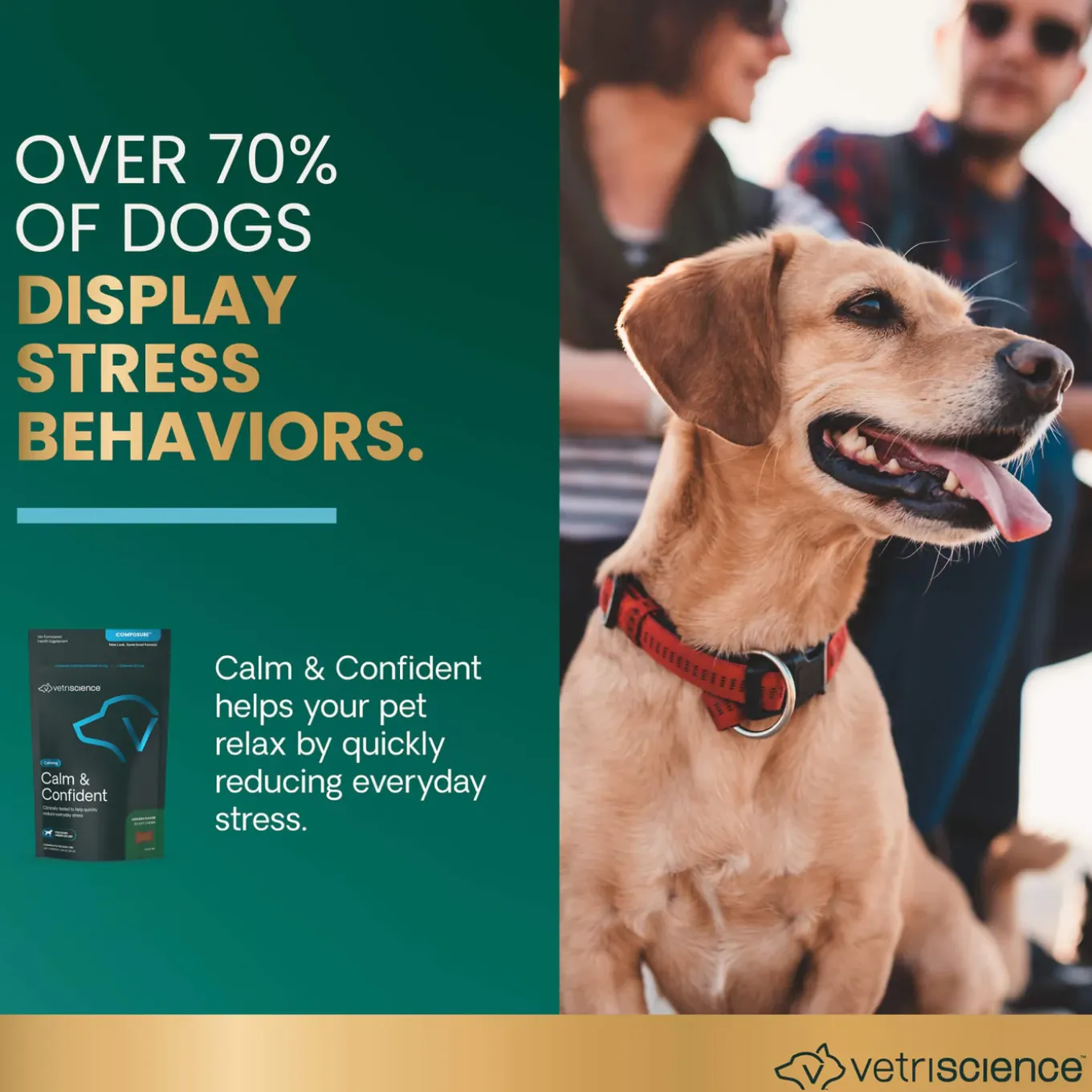 VetriScience Calm & Confident Dog Supplement