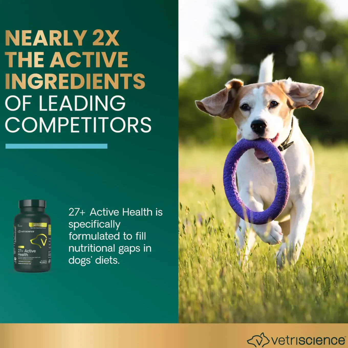 VetriScience Senior 27+ Active Health Multivitamin for Senior Dogs
