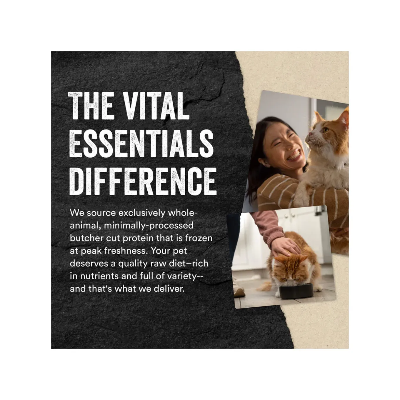 Vital Essentials Raw Freeze-Dried Mini Nibs Entree for Cats