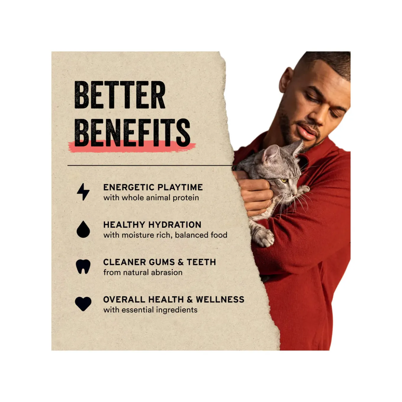 Vital Essentials Raw Freeze-Dried Mini Nibs Entree for Cats