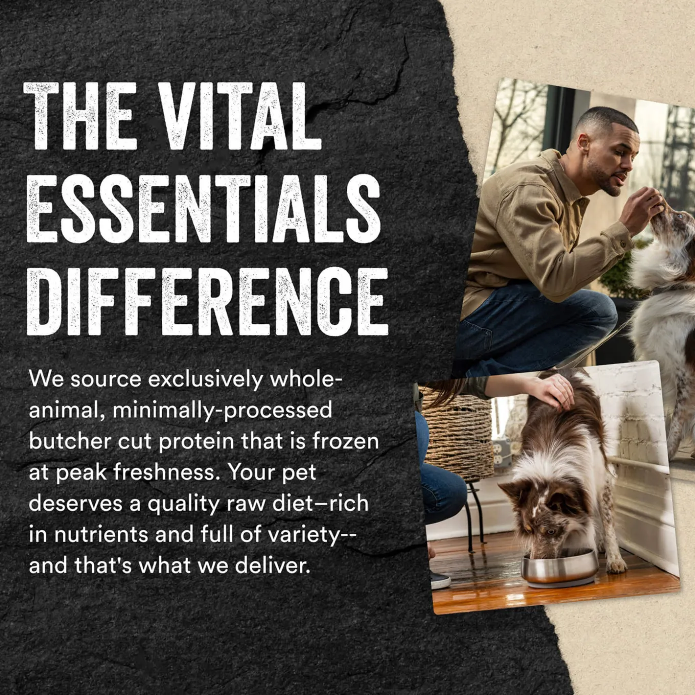 Vital Essentials Freeze-Dried Raw Protein Mix-In Ground Topper for Dogs