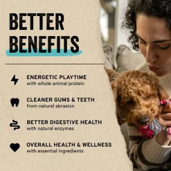Vital Essentials Freeze Dried Patties for Dogs Beef
