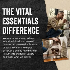 Vital Essentials Freeze Dried Patties for Dogs Beef