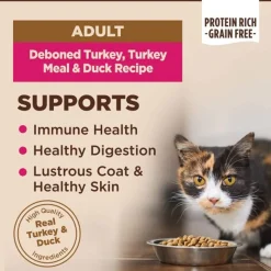 Wellness CORE Grain-Free Dry Cat Food