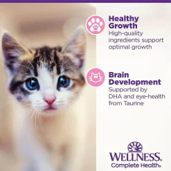 Wellness Grain-Free Canned Kitten Food