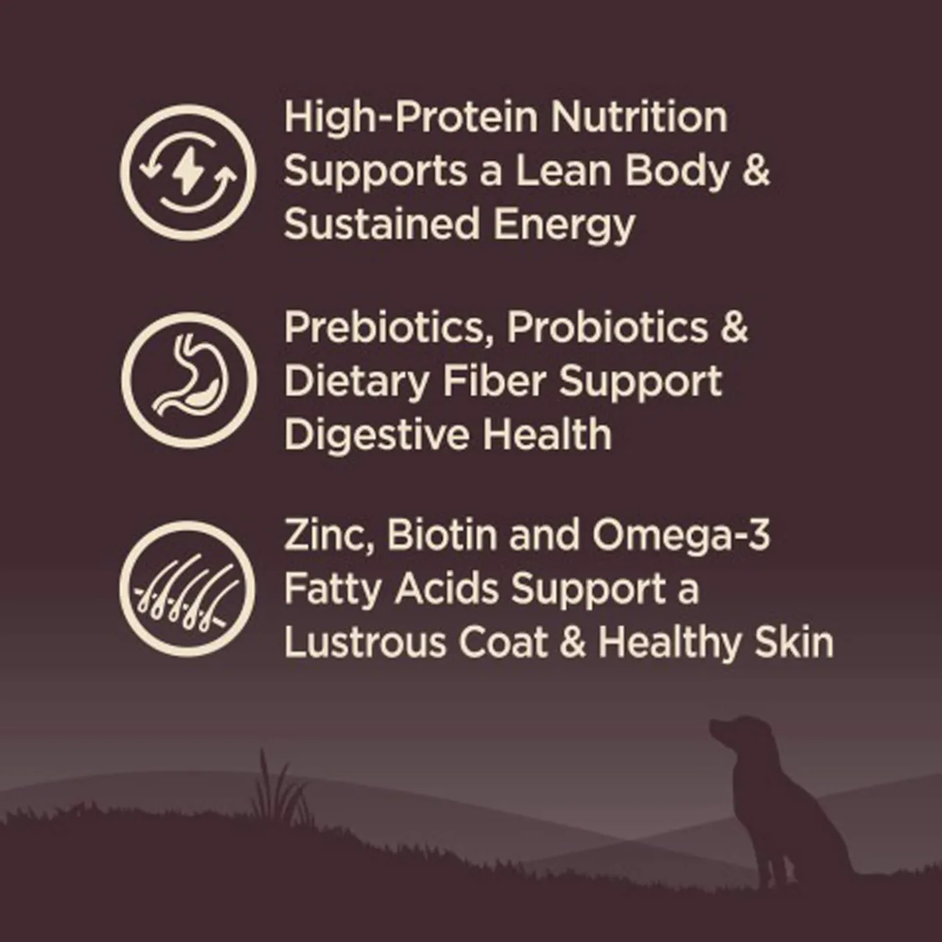 Wellness CORE Grain-Free Dry Dog Food