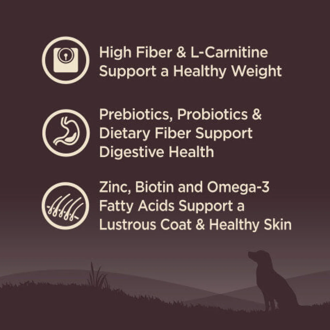 Wellness CORE Healthy Weight Grain-Free Dry Dog Food