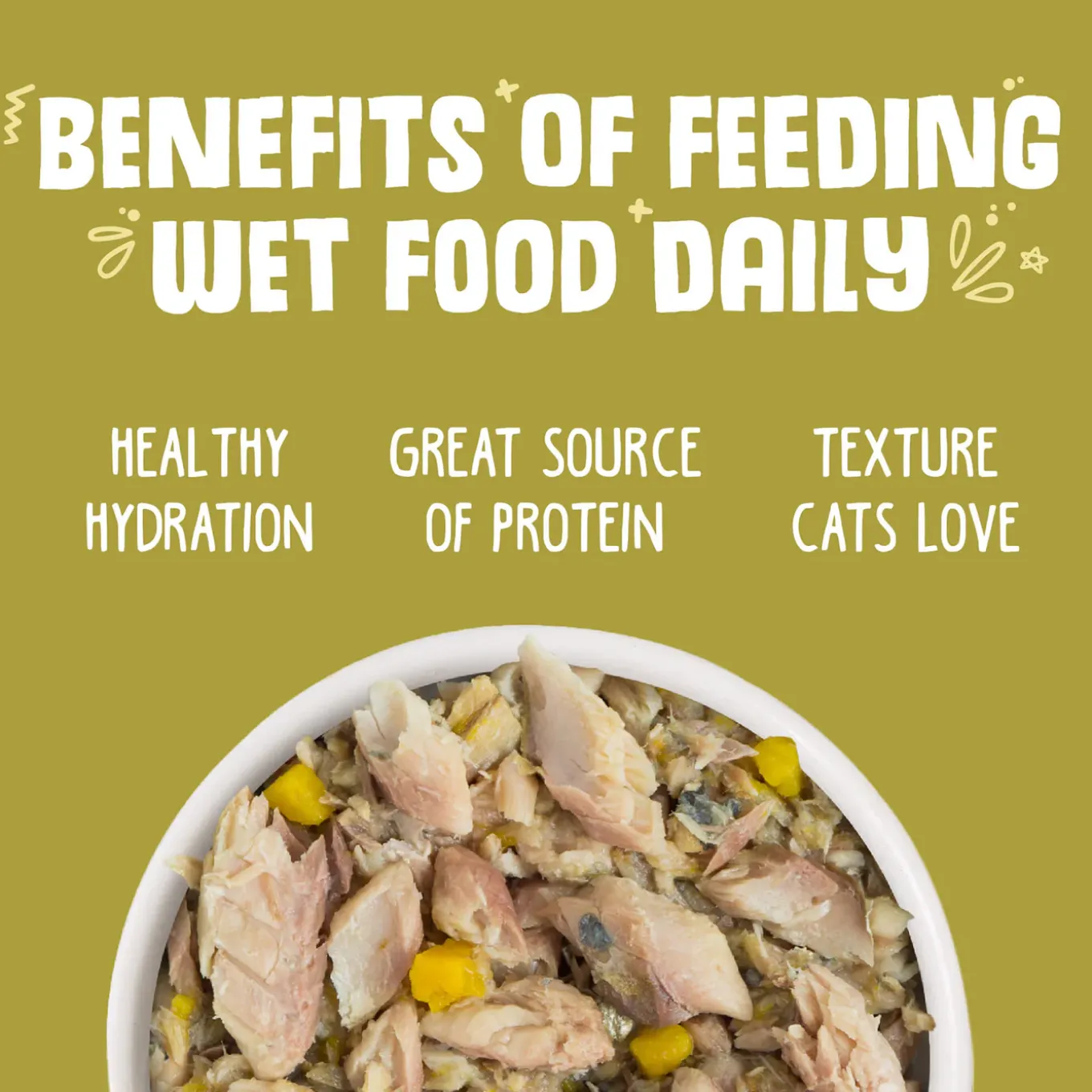 Weruva Grain-Free Canned Cat Food