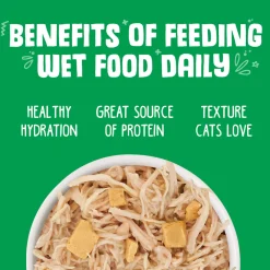 Weruva Grain-Free Canned Cat Food