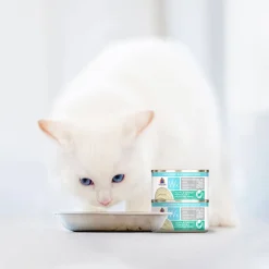 Weruva Wx Low Phosphorus Cat Food