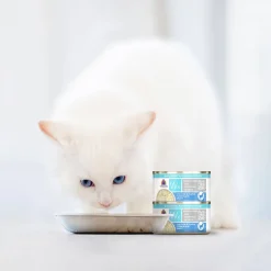 Weruva Wx Low Phosphorus Cat Food