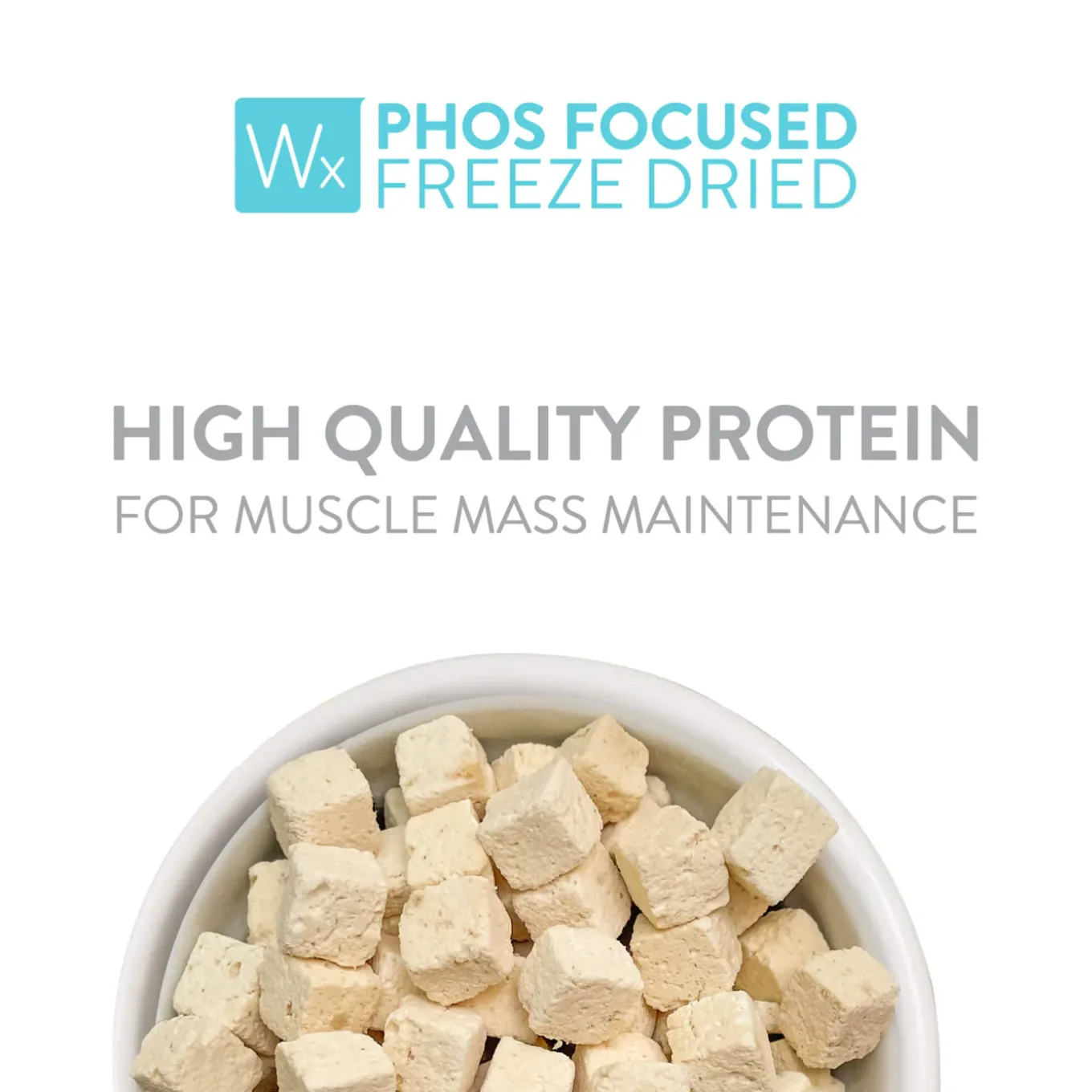 Weruva Wx Phosphorus Focused Freeze Dried Formula for Cats