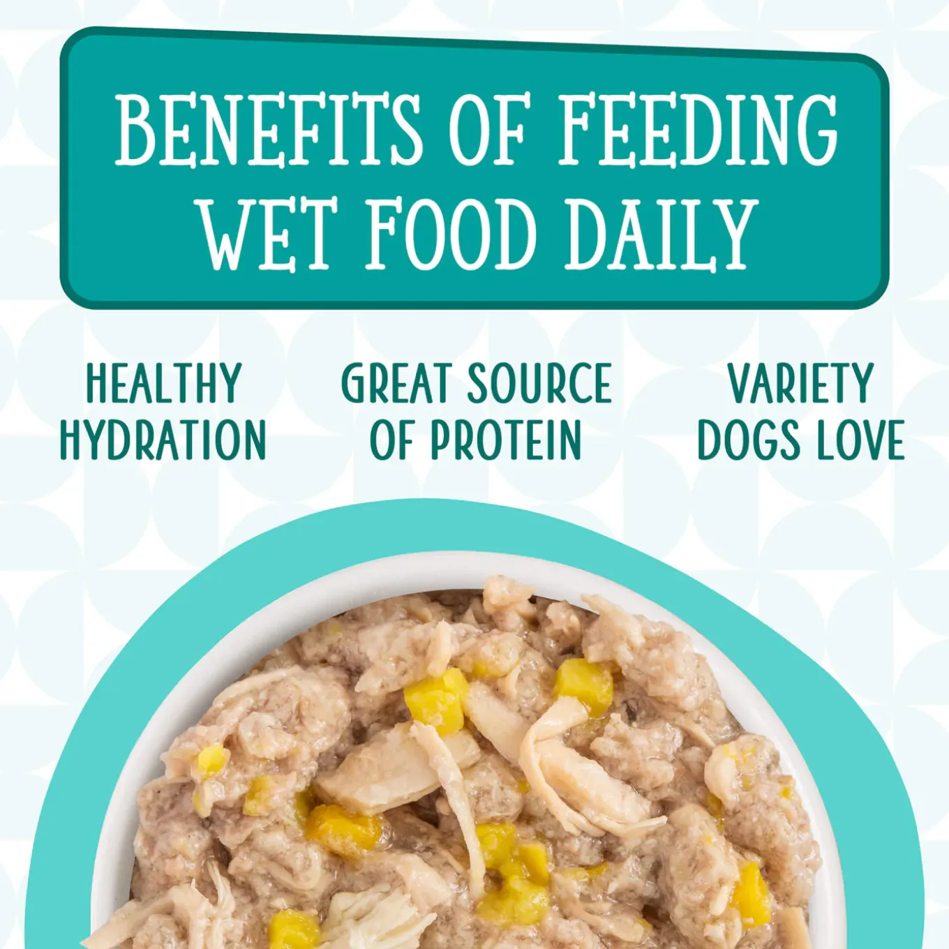 Weruva Dogs in the Kitchen Wet Dog Food Cans