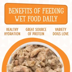 Weruva Dogs in the Kitchen Wet Dog Food Cans