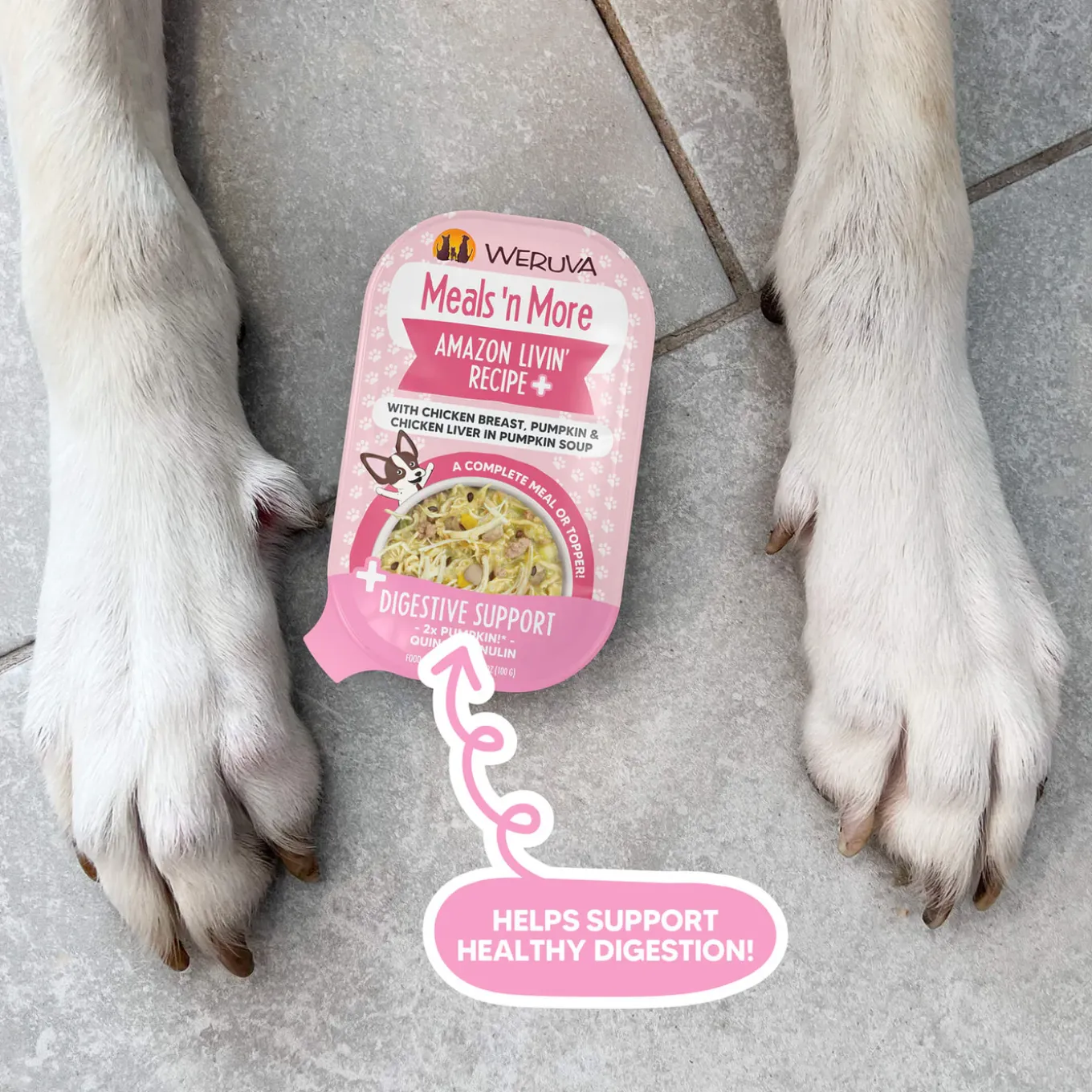 Weruva Meals 'n More Digestion Support Wet Dog Food