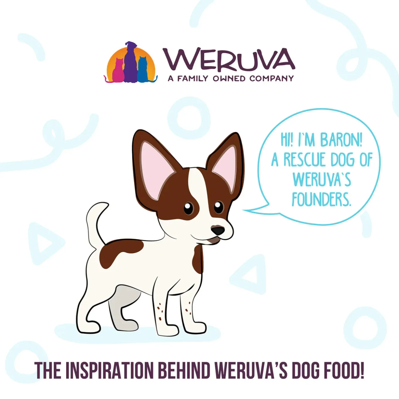 Weruva Meals 'n More Skin & Coat Wet Dog Food