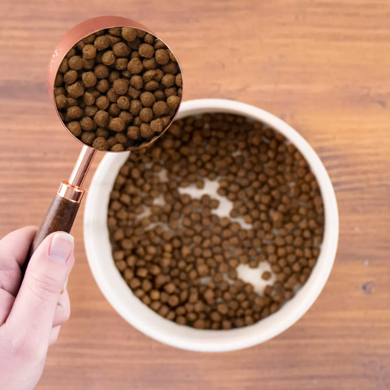 Wholesomes Dry Cat Food for Cats & Kittens