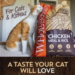 Wholesomes Dry Cat Food for Cats & Kittens