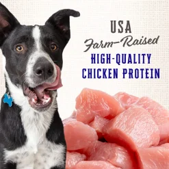 Wholesomes Classic Rewards Oven Baked Puppy Treats