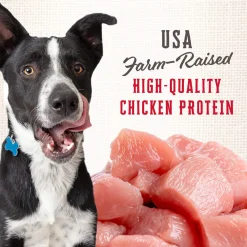 Wholesomes Classic Rewards Oven Baked Dog Treats