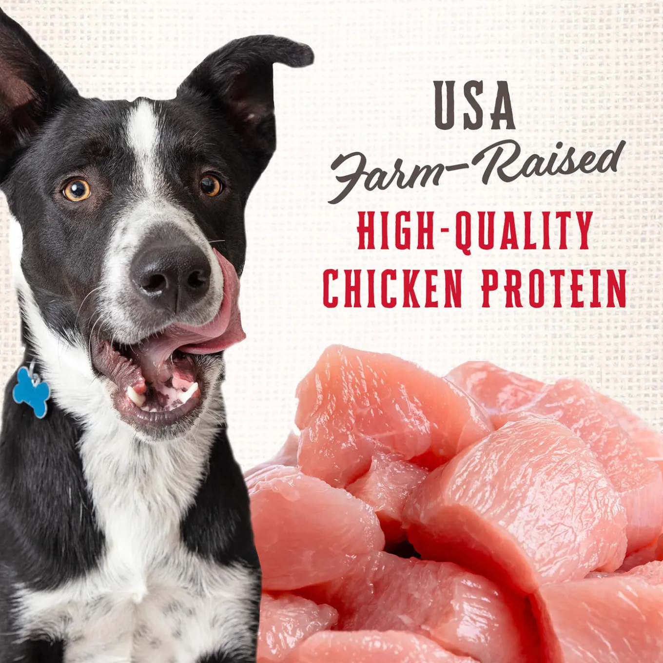 Wholesomes Classic Rewards Oven Baked Dog Treats